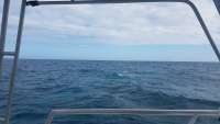 Great day of scuba diving in Key Largo with Rainbow Reef on hole in the wall tropical odyssey 2018 01 12 r5290 1