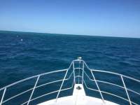 Great day of scuba diving in Key Largo with Rainbow Reef on molasses reef tropical adventure 2018 01 13 r5293 1