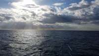 Great day of scuba diving in Key Largo with Rainbow Reef on molasses reef tropical legend 2018 01 06 r5261 1