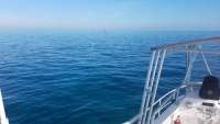 Great day of scuba diving in Key Largo with Rainbow Reef on spanish anchor tropical legend 2018 01 01 r5237 1