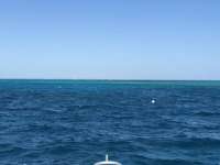 Great day of scuba diving in Key Largo with Rainbow Reef on spanish anchor tropical legend 2018 01 13 r5292 1