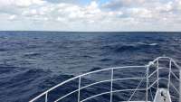 Great day of scuba diving in Key Largo with Rainbow Reef on spiegel grove tropical odyssey 2018 01 07 r5266 1