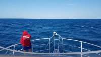 Great day of scuba diving in Key Largo with Rainbow Reef on spiegel grove tropical odyssey 2018 01 13 r5291 1