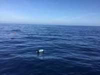 Great day of scuba diving in Key Largo with Rainbow Reef on uscgc duane tropical odyssey 2018 01 01 r5238 1