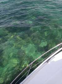 Great day of scuba diving in Key Largo with Rainbow Reef on banana patch tropical voyager 2018 07 25 r6649 1