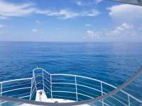 Great day of scuba diving in Key Largo with Rainbow Reef on benwood wreck tropical legend 2018 07 10 r6483 1