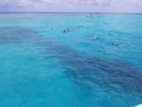 Great day of scuba diving in Key Largo with Rainbow Reef on christ statue tropical adventure 2018 07 08 r6465 1