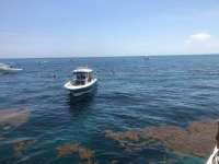 Great day of scuba diving in Key Largo with Rainbow Reef on christ statue tropical destiny 2018 07 14 r6520 1