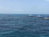 Great day of scuba diving in Key Largo with Rainbow Reef on christ statue tropical odyssey 2018 07 09 r6474 1