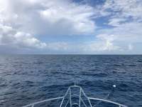 Great day of scuba diving in Key Largo with Rainbow Reef on christmastree cave tropical adventure 2018 07 22 r6608 1