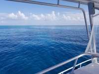 Great day of scuba diving in Key Largo with Rainbow Reef on christmastree cave tropical legend 2018 07 10 r6480 1