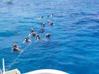 Great day of scuba diving in Key Largo with Rainbow Reef on christmastree cave tropical serenity 2018 07 09 r6475 1