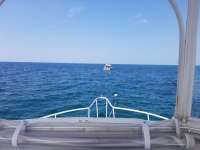 Great day of scuba diving in Key Largo with Rainbow Reef on christmastree cave tropical serenity 2018 07 25 r6634 1