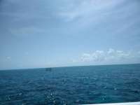 Great day of scuba diving in Key Largo with Rainbow Reef on city of washington tropical adventure 2018 07 17 r6551 1