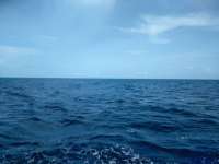 Great day of scuba diving in Key Largo with Rainbow Reef on drift french tropical explorer 2018 07 08 r6459 1