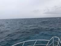 Great day of scuba diving in Key Largo with Rainbow Reef on eagle ray alley tropical adventure 2018 07 05 r6426 1