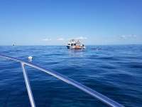 Great day of scuba diving in Key Largo with Rainbow Reef on eagle ray alley tropical explorer 2018 07 13 r6506 1