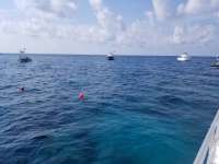 Great day of scuba diving in Key Largo with Rainbow Reef on eagle ray alley tropical legend 2018 07 14 r6516 1
