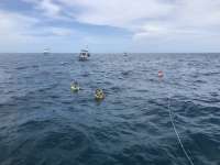 Great day of scuba diving in Key Largo with Rainbow Reef on eagle ray alley tropical serenity 2018 07 27 r6666 1