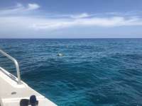 Great day of scuba diving in Key Largo with Rainbow Reef on fire coral cave tropical serenity 2018 07 02 r6384 1