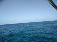 Great day of scuba diving in Key Largo with Rainbow Reef on french reef tropical adventure 2018 07 09 r6476 1