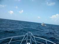 Great day of scuba diving in Key Largo with Rainbow Reef on french reef tropical adventure 2018 07 24 r6622 1