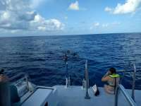Great day of scuba diving in Key Largo with Rainbow Reef on french reef tropical legend 2018 07 12 r6505 1