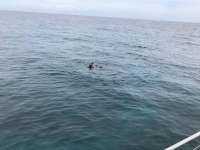 Great day of scuba diving in Key Largo with Rainbow Reef on french reef tropical odyssey 2018 07 27 r6671 1