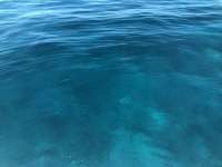 Great day of scuba diving in Key Largo with Rainbow Reef on french reef tropical serenity 2018 07 13 r6508 1