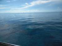 Great day of scuba diving in Key Largo with Rainbow Reef on french reef tropical voyager 2018 07 15 r6527 1