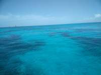 Great day of scuba diving in Key Largo with Rainbow Reef on french reef tropical voyager 2018 07 26 r6658 1