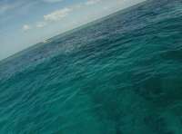 Great day of scuba diving in Key Largo with Rainbow Reef on grecian rocks tropical explorer 2018 07 21 r6598 1