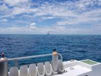 Great day of scuba diving in Key Largo with Rainbow Reef on hole in the wall tropical odyssey 2018 07 12 r6503 1