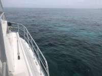 Great day of scuba diving in Key Largo with Rainbow Reef on minnow cave tropical legend 2018 07 11 r6493 1