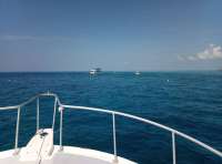 Great day of scuba diving in Key Largo with Rainbow Reef on molasses reef santana 2018 07 26 r6655 1
