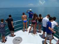 Great day of scuba diving in Key Largo with Rainbow Reef on molasses reef tropical adventure 2018 07 10 r6484 1