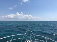 Great day of scuba diving in Key Largo with Rainbow Reef on molasses reef tropical adventure 2018 07 14 r6518 1
