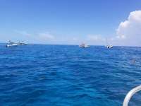 Great day of scuba diving in Key Largo with Rainbow Reef on molasses reef tropical destiny 2018 07 01 r6381 1