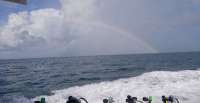 Great day of scuba diving in Key Largo with Rainbow Reef on molasses reef tropical explorer 2018 07 08 r6466 1