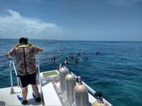 Great day of scuba diving in Key Largo with Rainbow Reef on molasses reef tropical legend 2018 07 01 r6382 1