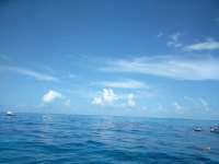 Great day of scuba diving in Key Largo with Rainbow Reef on molasses reef tropical voyager 2018 07 01 r6378 1