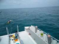 Great day of scuba diving in Key Largo with Rainbow Reef on molasses reef tropical voyager 2018 07 11 r6494 1