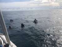 Great day of scuba diving in Key Largo with Rainbow Reef on north star santana 2018 07 12 r6496 1