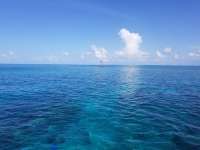 Great day of scuba diving in Key Largo with Rainbow Reef on north star tropical legend 2018 07 19 r6565 1