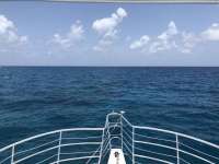 Great day of scuba diving in Key Largo with Rainbow Reef on permit ledges tropical legend 2018 07 07 r6450 1
