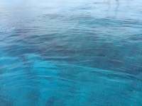 Great day of scuba diving in Key Largo with Rainbow Reef on permit ledges tropical odyssey 2018 07 10 r6482 1