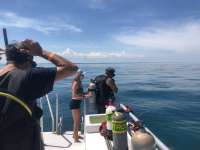Great day of scuba diving in Key Largo with Rainbow Reef on pickles reef tropical legend 2018 07 15 r6533 1