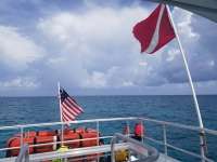 Great day of scuba diving in Key Largo with Rainbow Reef on sand island tropical serenity 2018 07 28 r6683 1