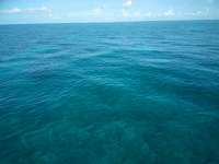 Great day of scuba diving in Key Largo with Rainbow Reef on snapper ledge tropical voyager 2018 07 13 r6509 1