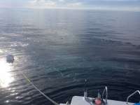 Great day of scuba diving in Key Largo with Rainbow Reef on spiegel grove tropical adventure 2018 07 15 r6525 1